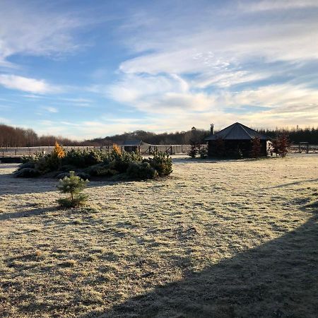 Kantonia Bobolice  Exteriör bild