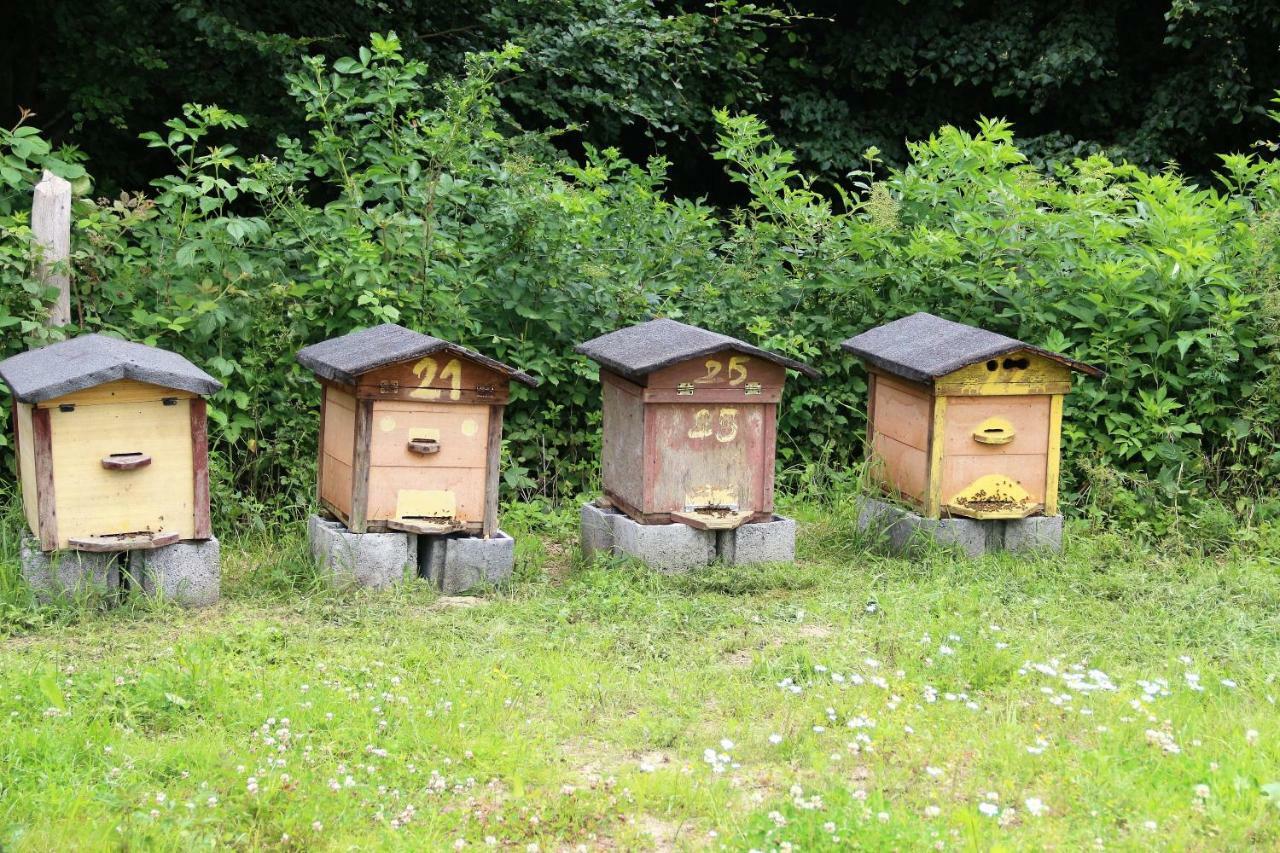 Kantonia Bobolice  Exteriör bild