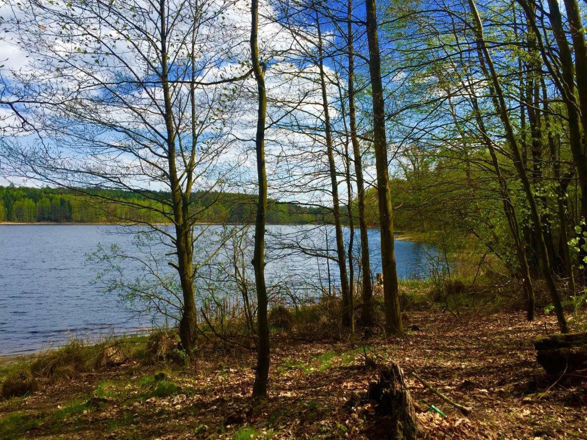 Kantonia Bobolice  Exteriör bild