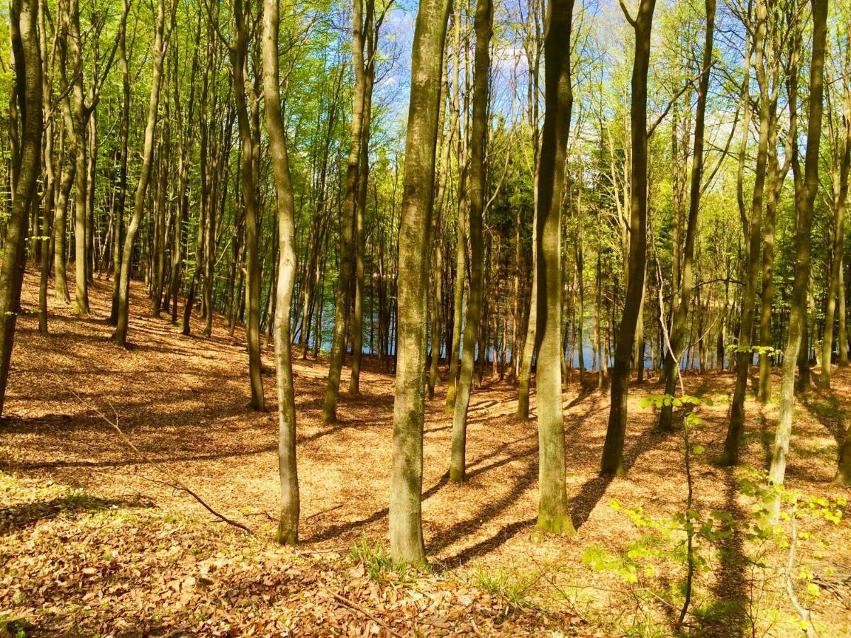 Kantonia Bobolice  Exteriör bild